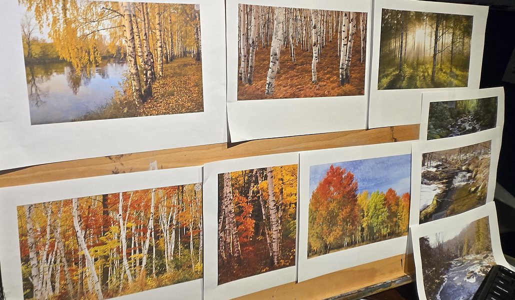 A wooden board showcases nine pieces of original canvas art, displaying captivating landscape photos. These primarily feature birch forests in autumn, capturing vibrant foliage and serene scenes that evoke a sense of tranquility.